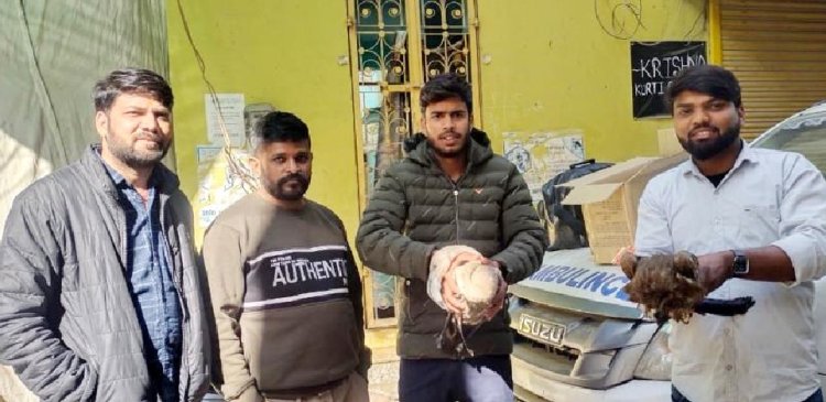 घायल पक्षियों का किया उपचार