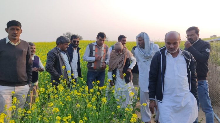 क्षेत्र के दर्जन भर गांव में एसडीएम व उपप्रधान ने खेतों में जाकर फसल खराबे का किया निरीक्षण