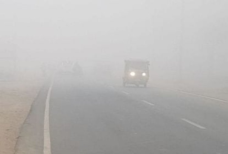 फरवरी के मध्य में छाया घना कोहरा, दृश्यता बेहद कम
