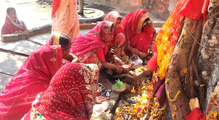 दशामाता का व्रत कर की परिवार की सुख-समृद्धि की कामना  