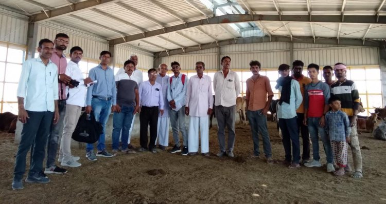गौशालाओं का किया औचक निरीक्षण दिए दिशा निर्देश