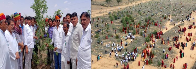 वर्ल्ड रिकॉर्ड जानने आई टीम ने दिया प्रोविजनल सर्टिफिकेट