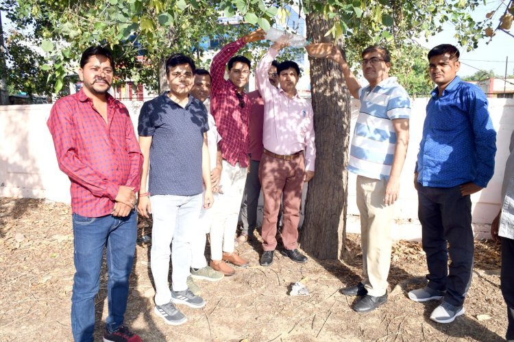 दाना पानी मिशन के तहत सूचना एवं जनसम्पर्क कार्यालय में बांधे परिंडे