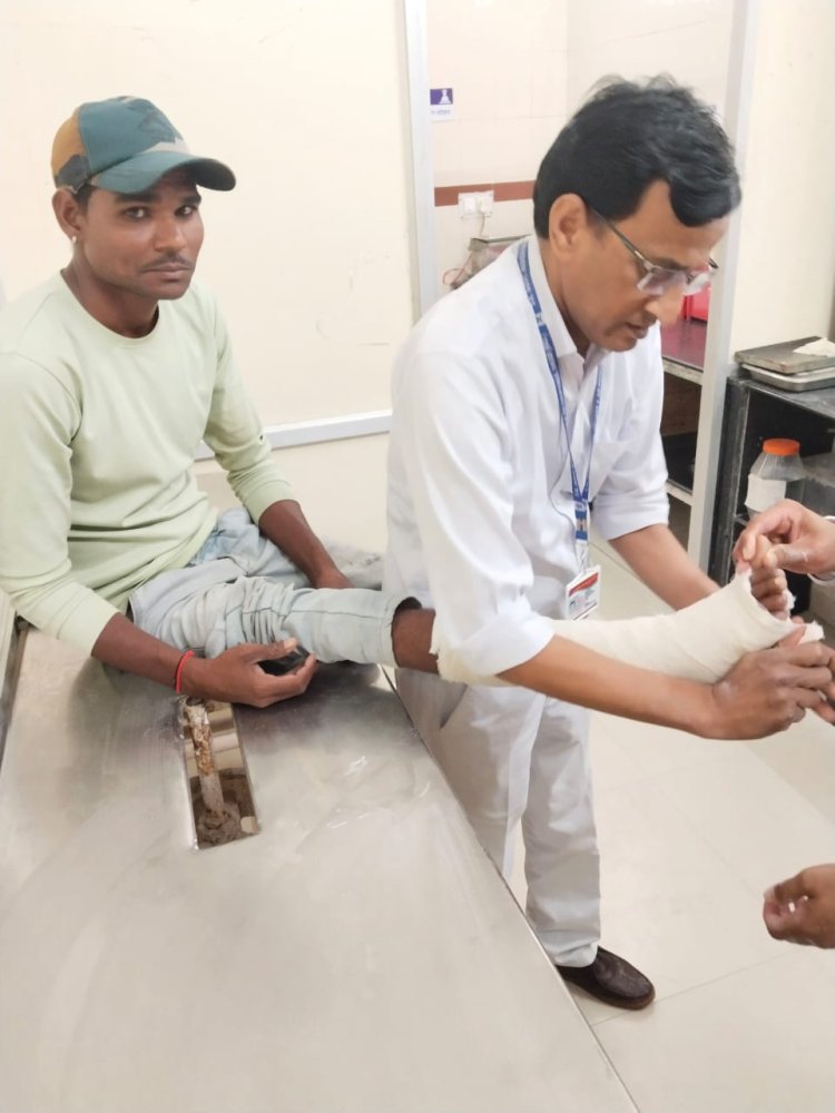 दया व सेवा की प्रती पूर्ति फ्लोरेंस नाईटिगेल "द लेडी विद द लेप" के नाम से है प्रसिद्ध