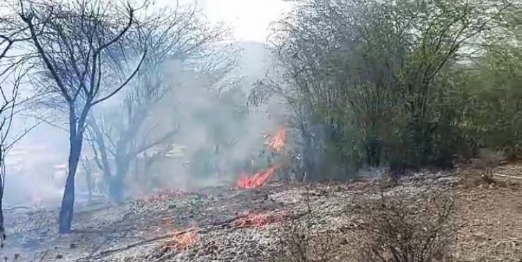 ग्रामीणों के सहयोग से प्रशासन ने आग पर काबू पाया