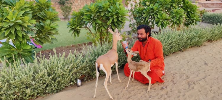 तीन साल पहले एक पौधा लगाकर रखी जसनाथ आसन दुधवा की नींव,अब मंहत पढा़ रहे हैं पशु पक्षियों को धर्म का पाठ  तीन साल पुर्ण पर  जसनाथ आसन दुधवा में होगें विभिन्न कार्यक्रम