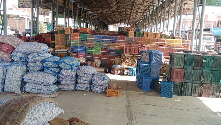 थोक सब्जी मंडी में अव्यवस्थाओं का आलम, किसानों के माल रखने के लिए बने यार्ड पर व्यापारियों ने जमाया कब्जा, किसानों को अपना माल रखना पड़ता है जमीन पर, घंटों तक खड़ा रहना पड़ता है तेज धूप में