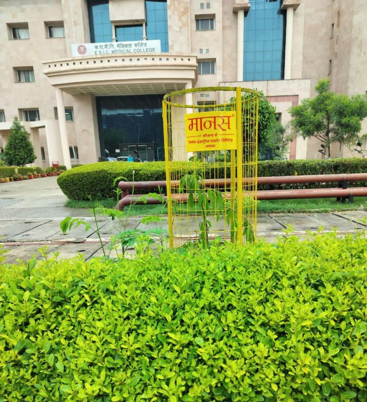 हम प्रयास करें तो शहर को पूरी तरह हरा-भरा बना सकते हैं - ट्रस्टी मंजू चौधरी अग्रवाल