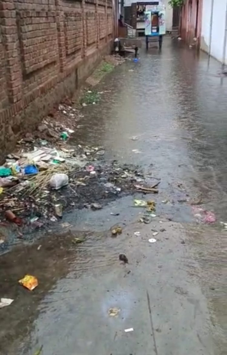आधा घंटे की बारिश ने खोली सफाई व्यवस्था की पोल, वार्ड नंबर 16,17,18 व 19 में हुआ जलभराव