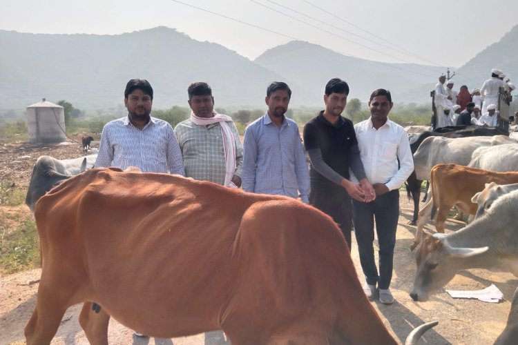 गायों को गुड़ व चारा खिलाकर मनाया विधायक का जन्मदिन