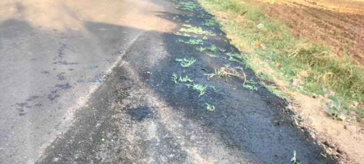 15 दिन पहले बनाई थी रोड, अब बन रहा है गार्डन