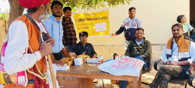 ऊष्ट्र रोग निदान शिविर का आयोजन, संयुक्त निदेशक ने व्यवस्थाओं पर जताया संतोष