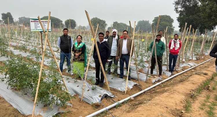 लुपिन फाउंडेशन: दस हजार किसानों को उन्नत खेती का प्रशिक्षण, आय वृद्धि पर जोर 