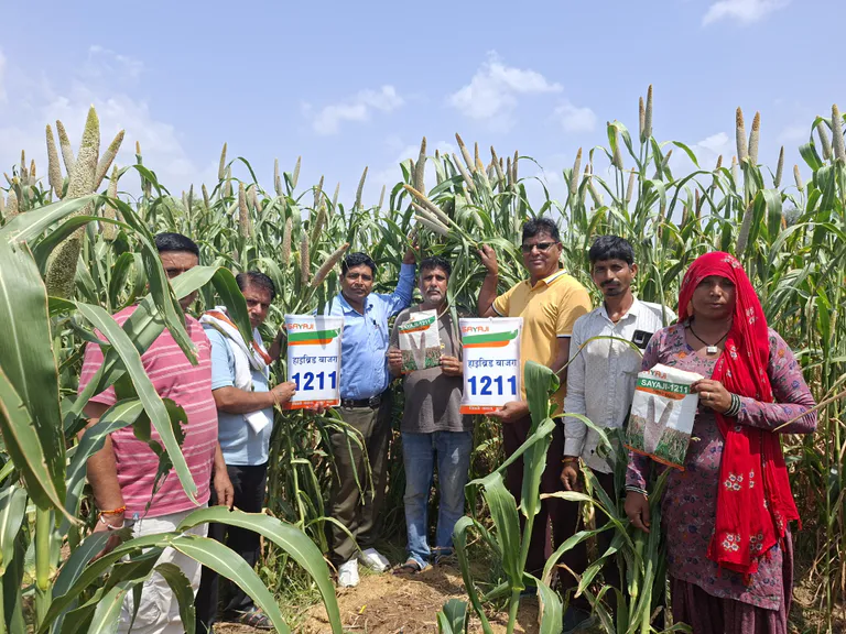 Churu farmers explore new high-yield crop varieties for upcoming seasons