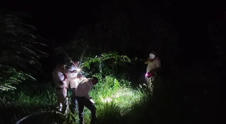 Missing Man Found Dead in Bharatpur Nursery as Authorities Investigate Possible Animal Attack
