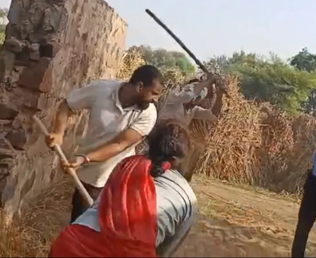 भरतपुर के भूतौली गांव में खेत की मेड़ को लेकर खूनी संघर्ष, वायरल वीडियो ने बढ़ाई पुलिस की सक्रियता