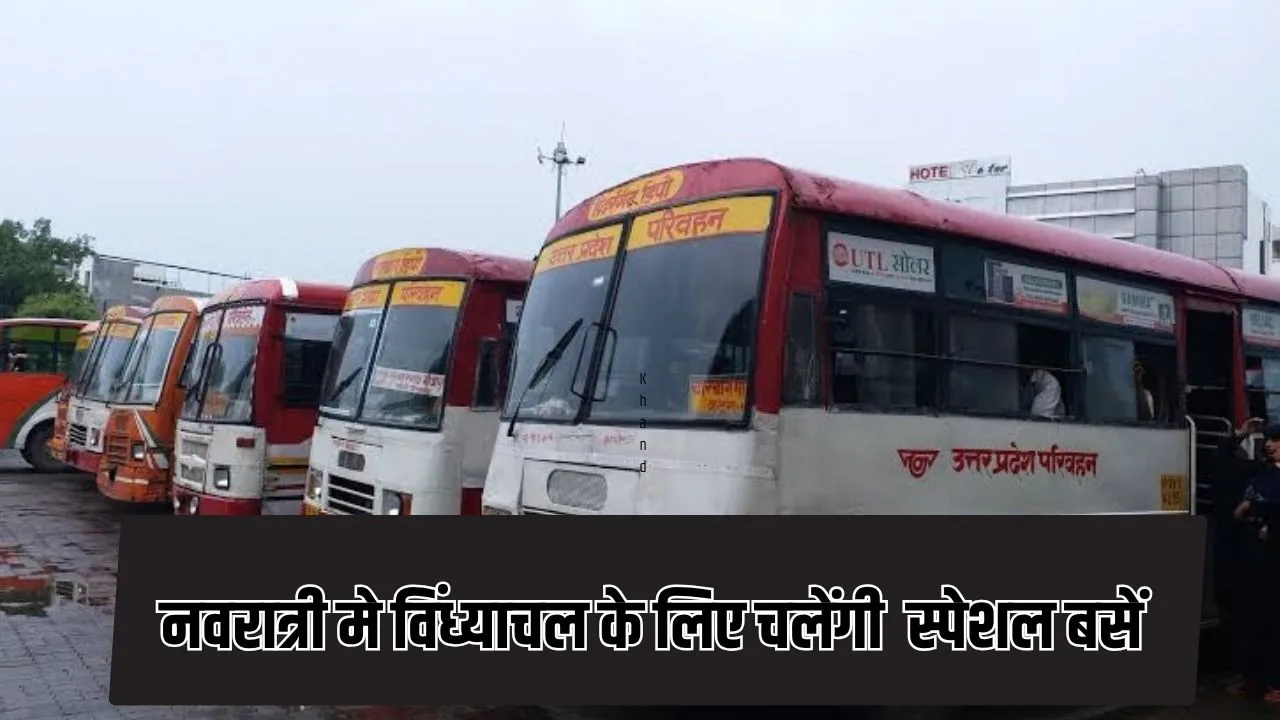 Special bus