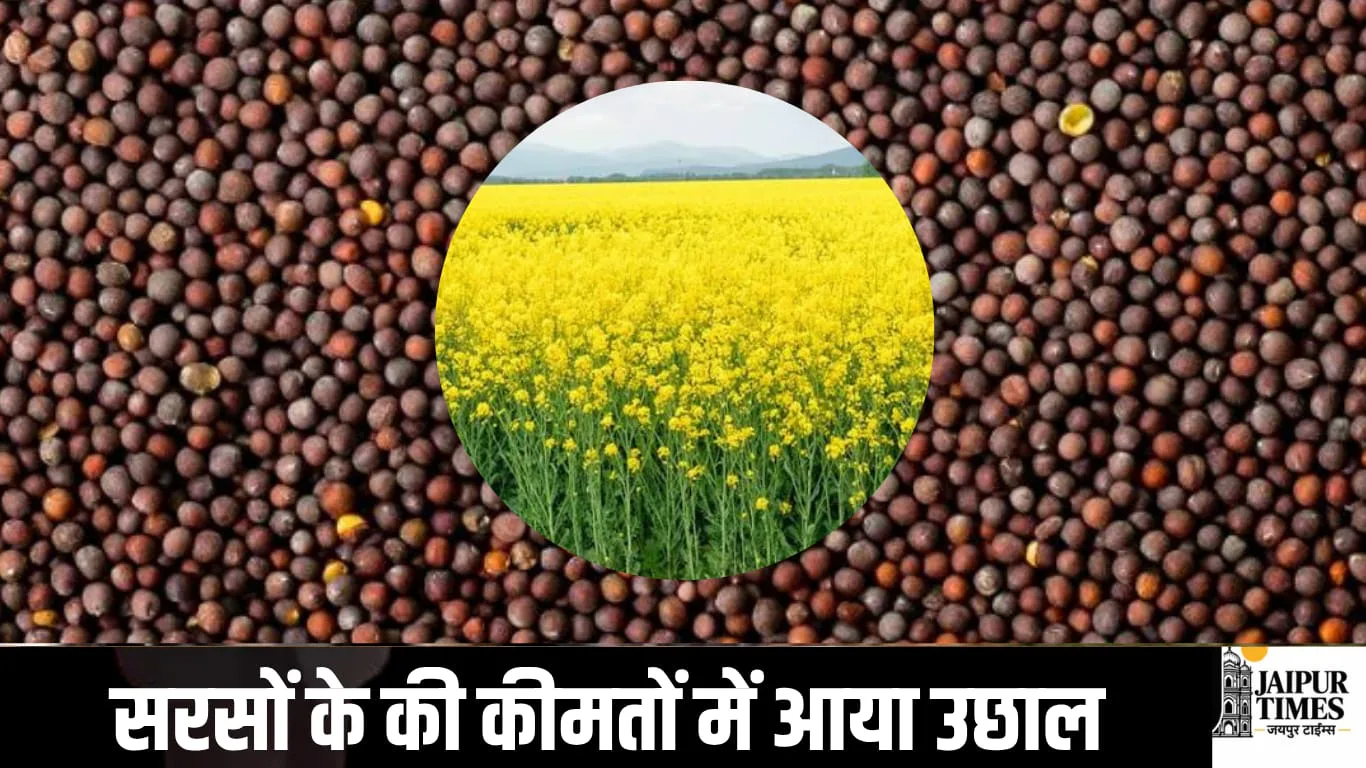 MUSTARD RATE HIKE