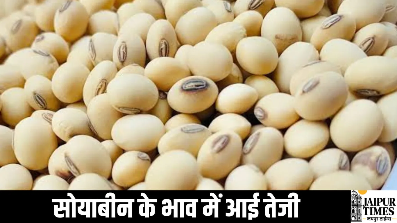 Today Mandi Bhav
