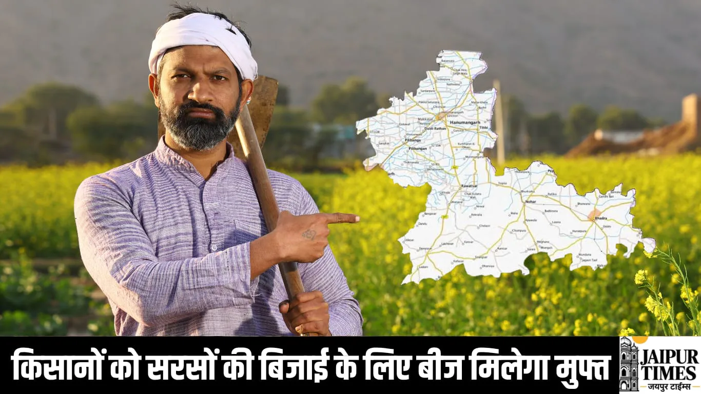 MUSTARD SEED FREE SCHEME