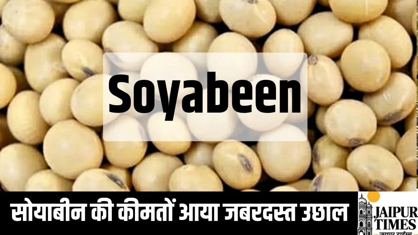 सोयाबीन की कीमतों आया जबरदस्त उछाल, तमिलनाडु में 9000 रुपए प्रति क्विंटल तक पहुंचा भाव