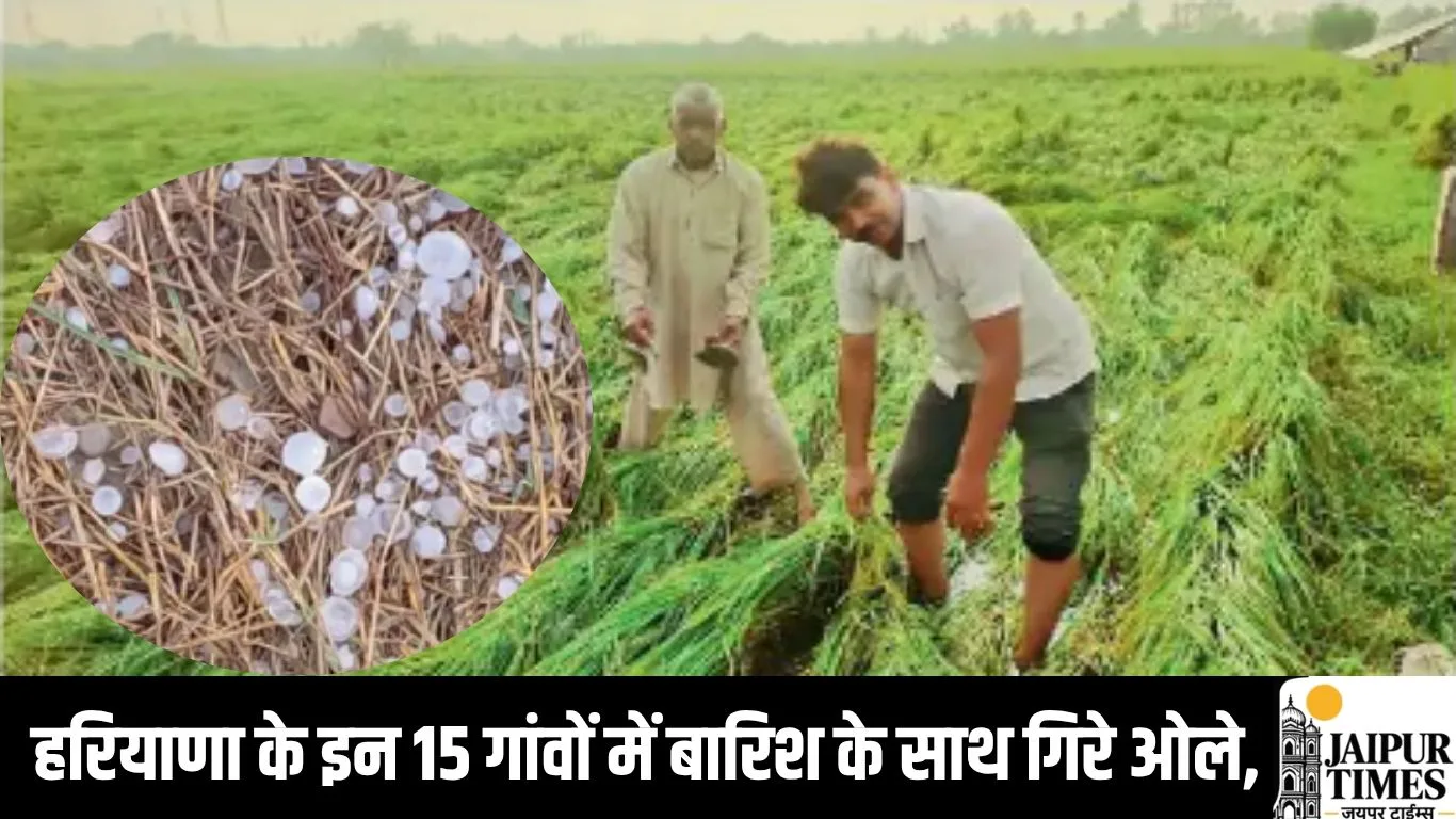 Haryana Hailstorm : हरियाणा के इन 15 गांवों में बारिश के साथ गिरे ओले, अब मौसम होगा परिवर्तनशील