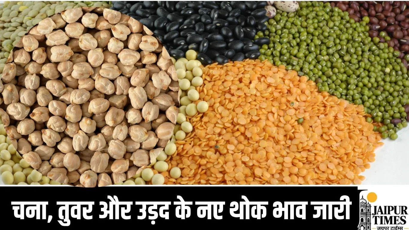 mandi bhav : चना, तुवर और उड़द के नए थोक भाव जारी, जानिए आज का दलहन बाजार