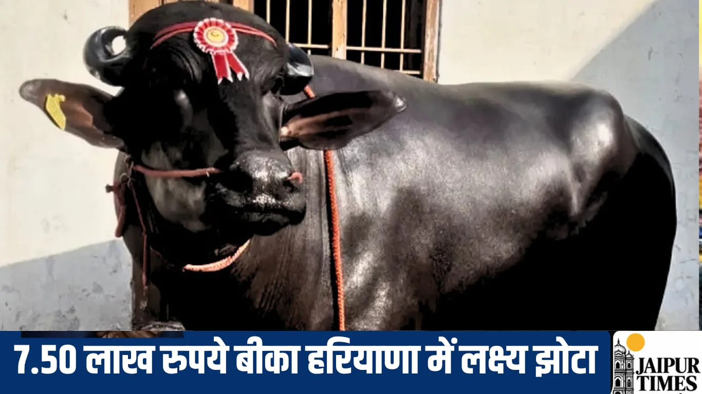 LAKSHYA JHOTA HARYANA
