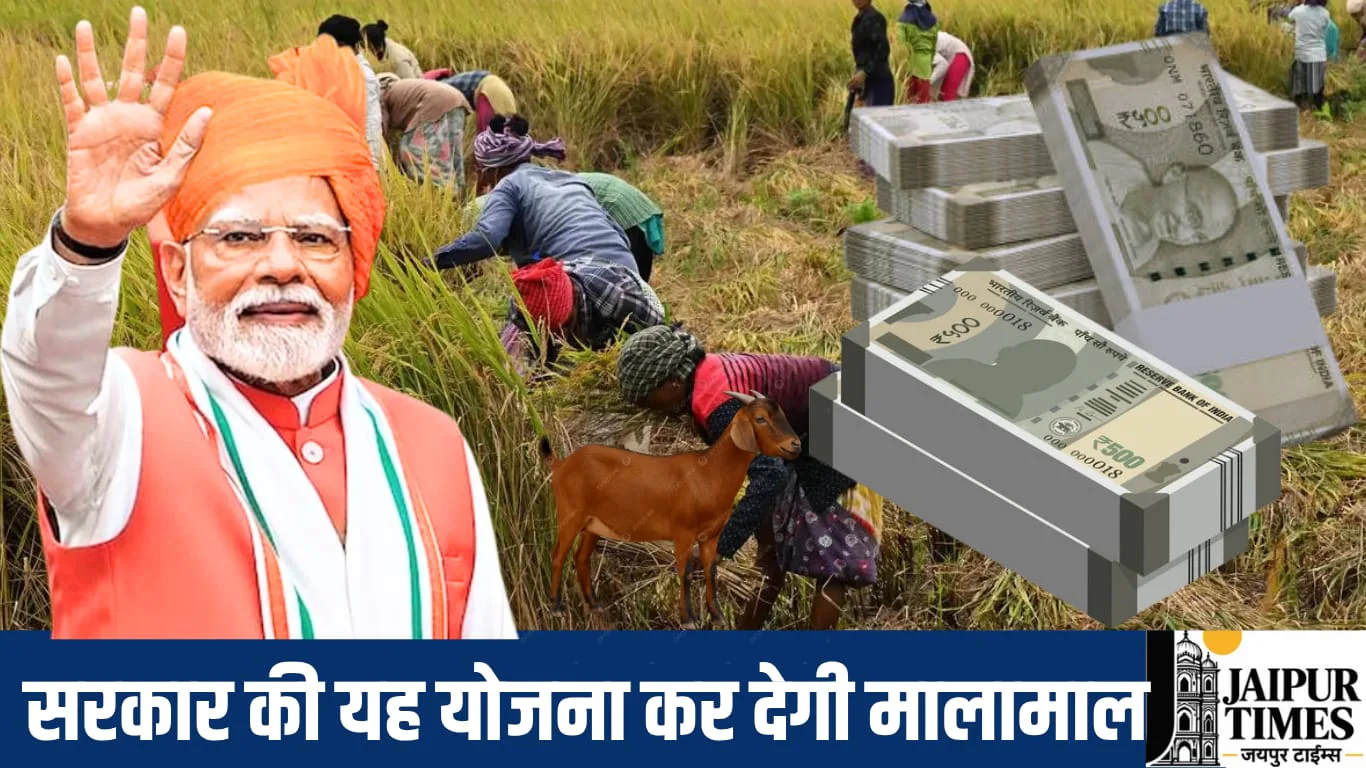 Government subsidy scheme